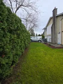 Exterior Rear Photo of 18138 59a Avenue, Surrey, BC