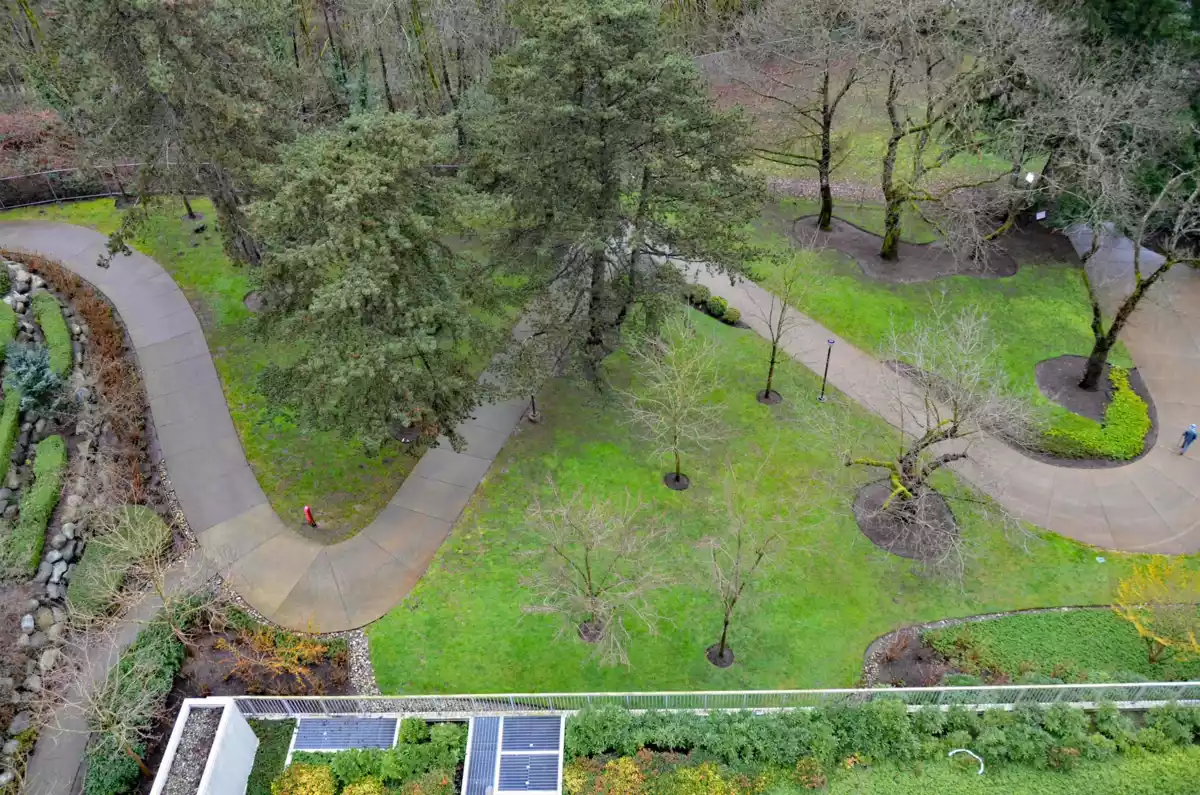 Garage Interior Photo of 1111 271 Francis Way, New Westminster, BC
