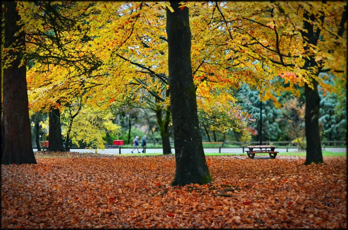 Outdoor Patio Photo of 1111 271 Francis Way, New Westminster, BC