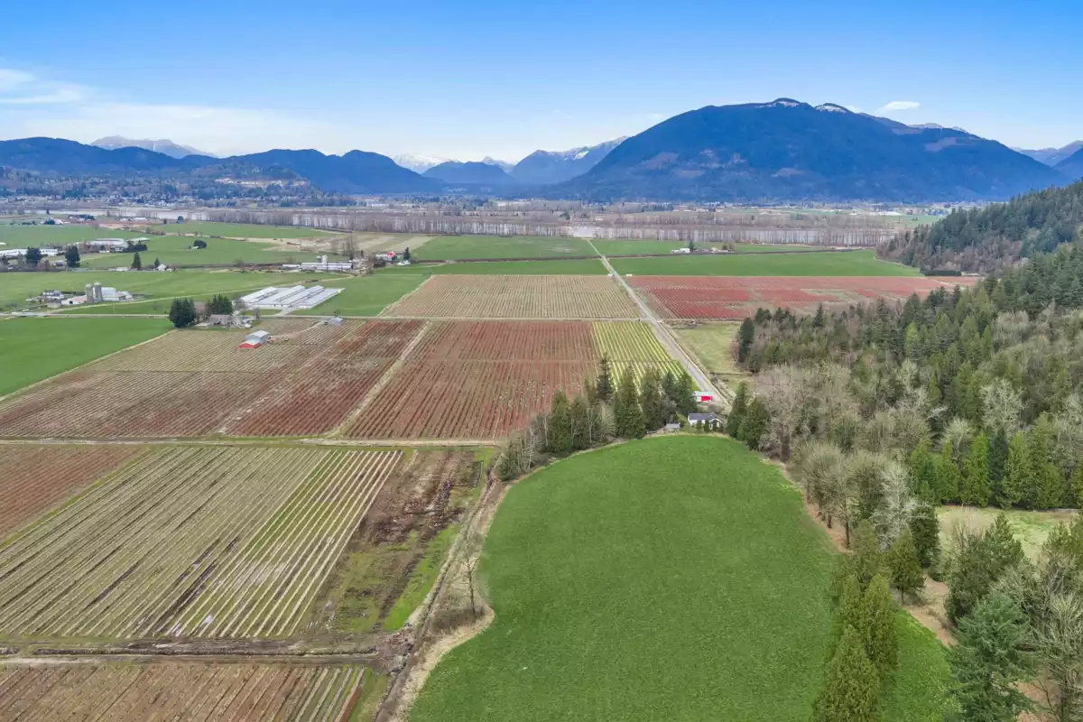 Basement Recreation Room Photo of 6209 Little Street, Abbotsford, BC