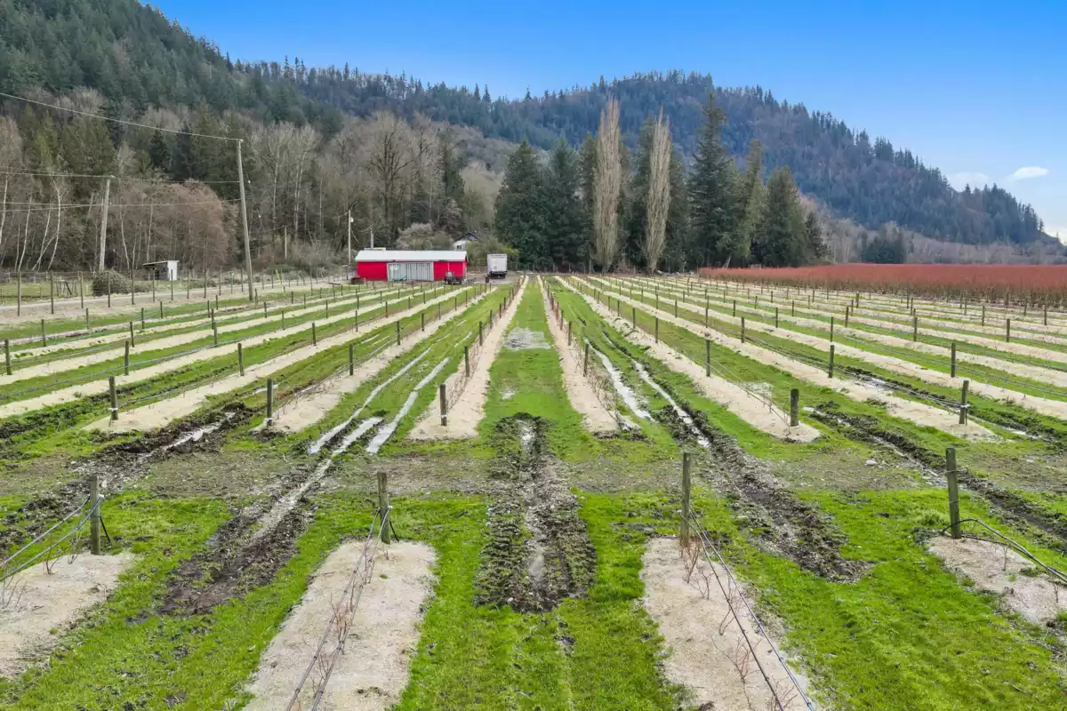 Bedroom 2 Photo of 6209 Little Street, Abbotsford, BC