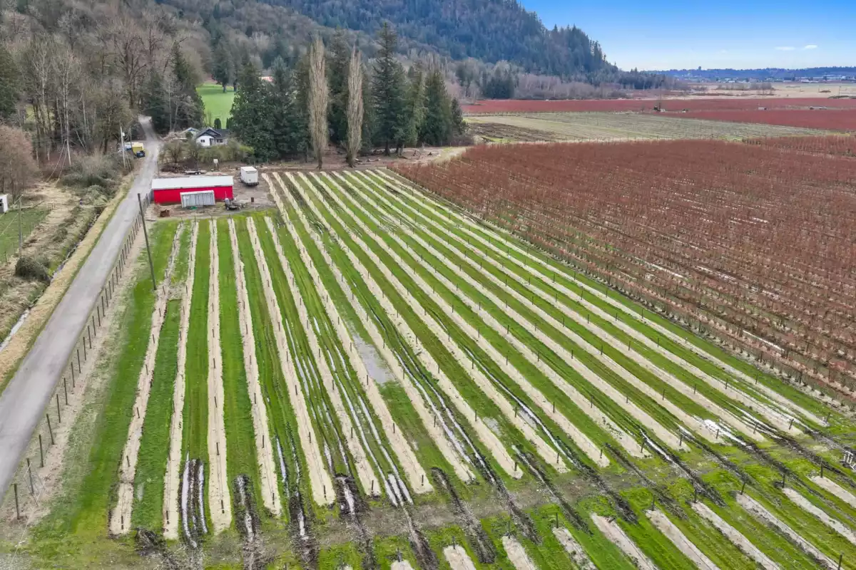 Bedroom 3 Photo of 6209 Little Street, Abbotsford, BC