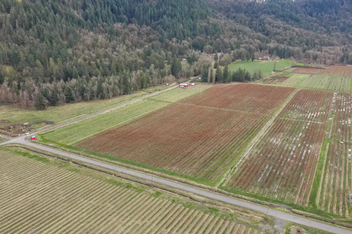 Breakfast Nook Photo of 6209 Little Street, Abbotsford, BC