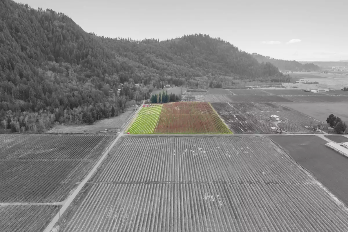 Exterior Rear Photo of 6209 Little Street, Abbotsford, BC