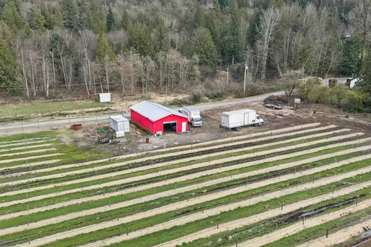 Family Room Photo of 6209 Little Street, Abbotsford, BC