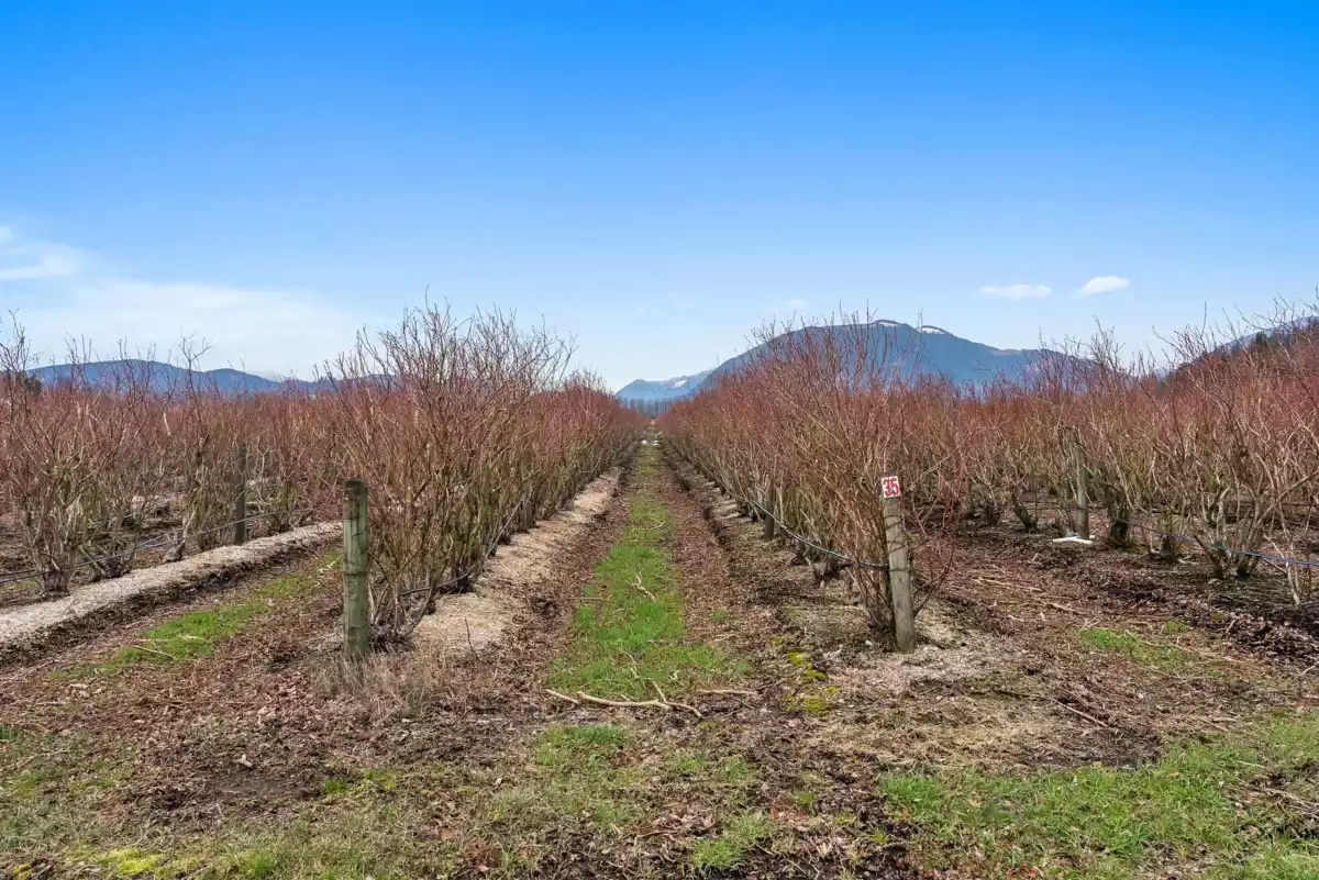 Kitchen Island Photo of 6209 Little Street, Abbotsford, BC
