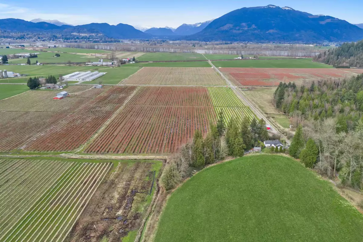 Kitchen Photo of 6209 Little Street, Abbotsford, BC