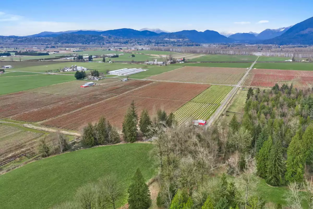 Laundry Room Photo of 6209 Little Street, Abbotsford, BC