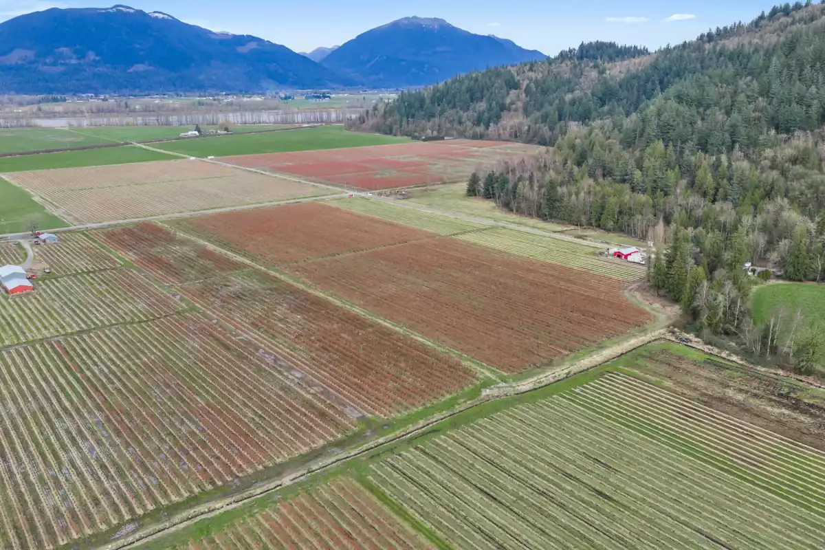 Loft / Bonus Room Photo of 6209 Little Street, Abbotsford, BC