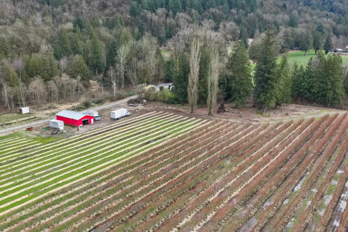 Primary Bedroom Photo of 6209 Little Street, Abbotsford, BC
