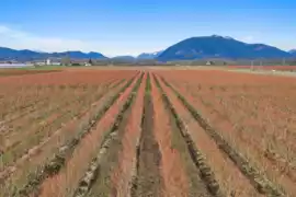 6209 Little Street, Abbotsford, BC