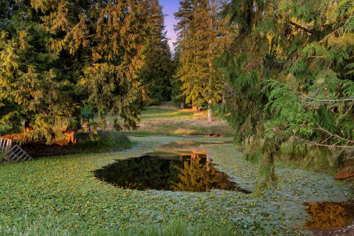 Kitchen Photo of 49825 Larsen Road, Chilliwack, BC