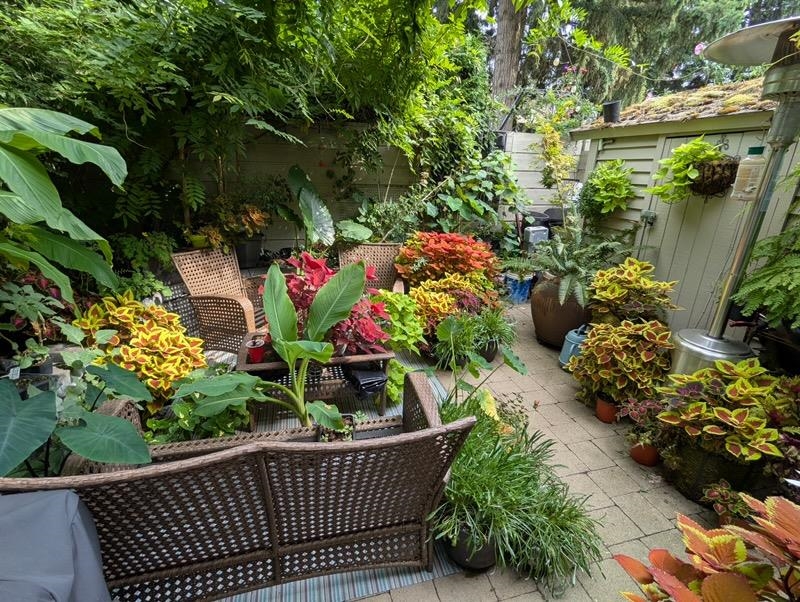 Outdoor Deck Photo of 9 6712 Baker Road, Delta, BC