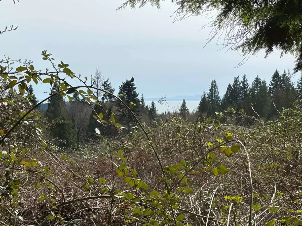Primary Bathroom Photo of LOT D Woodland Avenue, Gibsons, BC