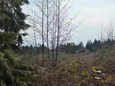 Primary Bedroom Photo of LOT D Woodland Avenue, Gibsons, BC