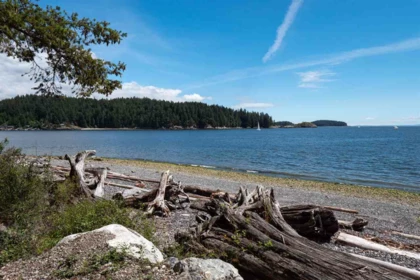 Backyard Photo of 313 Skyline Drive, Gibsons, BC
