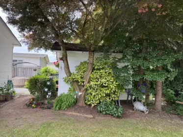 Outdoor Kitchen Photo of 13 41168 Lougheed Highway, Mission, BC