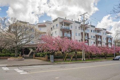 313 4768 53 Street, Delta, BC, Delta — Apartment/Condo for sale