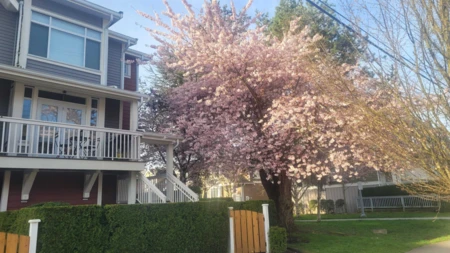 Hot Tub / Spa Photo of 1 4388 Moncton Street, Richmond, BC