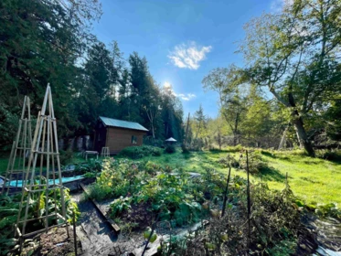 650 Tumbo Channel Road, Saturna Island, BC, Saturna Island —  bed land for sale