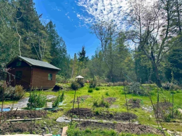 Exterior Rear Photo of 650 Tumbo Channel Road, Saturna Island, BC