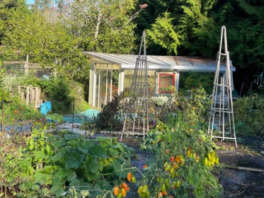 Pantry Photo of 650 Tumbo Channel Road, Saturna Island, BC