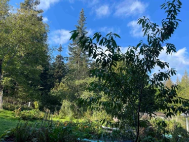 Primary Bedroom Photo of 650 Tumbo Channel Road, Saturna Island, BC
