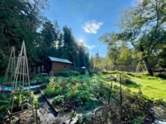 650 Tumbo Channel Road, Saturna Island, BC