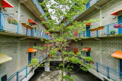Front Yard Photo of 2001 Wall Street, Vancouver, BC