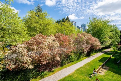 Outdoor Patio Photo of 406 9672 134 Street, Surrey, BC