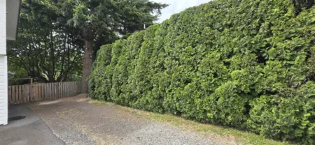 Playground / Recreational Area Near 5635 Tyson Road, Chilliwack, BC