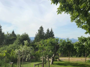 Community Amenities Photo (Clubhouse) of 5185 234 Street, Langley, BC