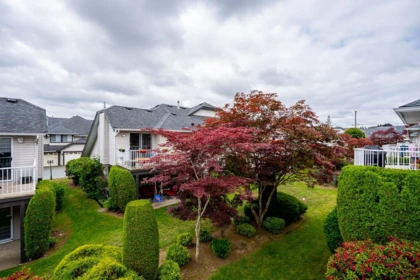 Aerial View of 142 3160 Townline Road, Abbotsford, BC