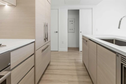 Walk-In Closet Photo of 1509 823 Carnarvon Street, New Westminster, BC