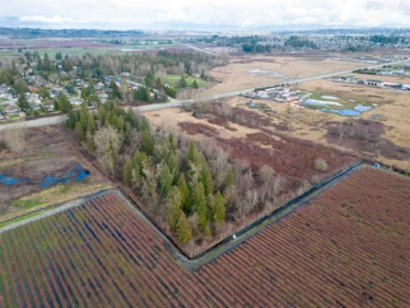 15590 56 Avenue, Surrey, BC, Surrey — Land for sale