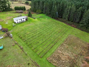 300 Wood Dale Drive, Mayne Island, BC, Mayne Island — Single Family Residence for sale