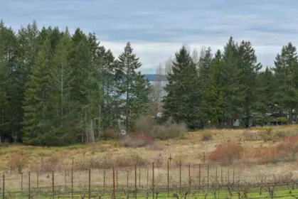 Front Yard Photo of 300 Wood Dale Drive, Mayne Island, BC