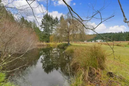 Swimming Pool Photo of 300 Wood Dale Drive, Mayne Island, BC