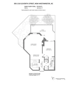 Hot Tub / Spa Photo of 305 210 Eleventh Street, New Westminster, BC