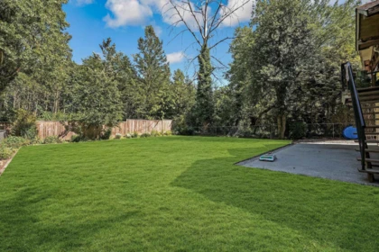 Backyard Photo of 10886 132a Street, Surrey, BC
