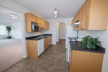207 5450 208 Street, Langley, BC, Langley — Apartment/Condo for sale