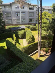 305 4885 Valley Drive, Vancouver, BC, Vancouver — Apartment/Condo for sale