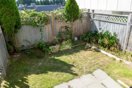Basement Recreation Room Photo of 23 9405 121 Street, Surrey, BC