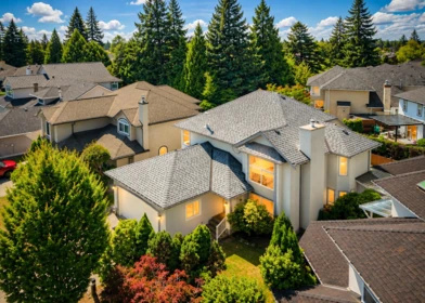 16042 108a Avenue, Surrey, BC, Surrey — Single Family Residence for sale