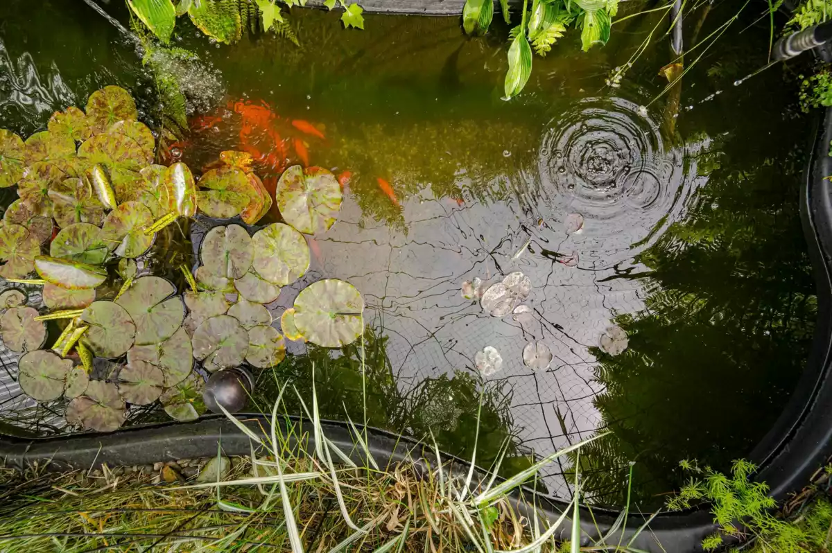 Dining Area Photo of 26967 28 Avenue, Langley, BC