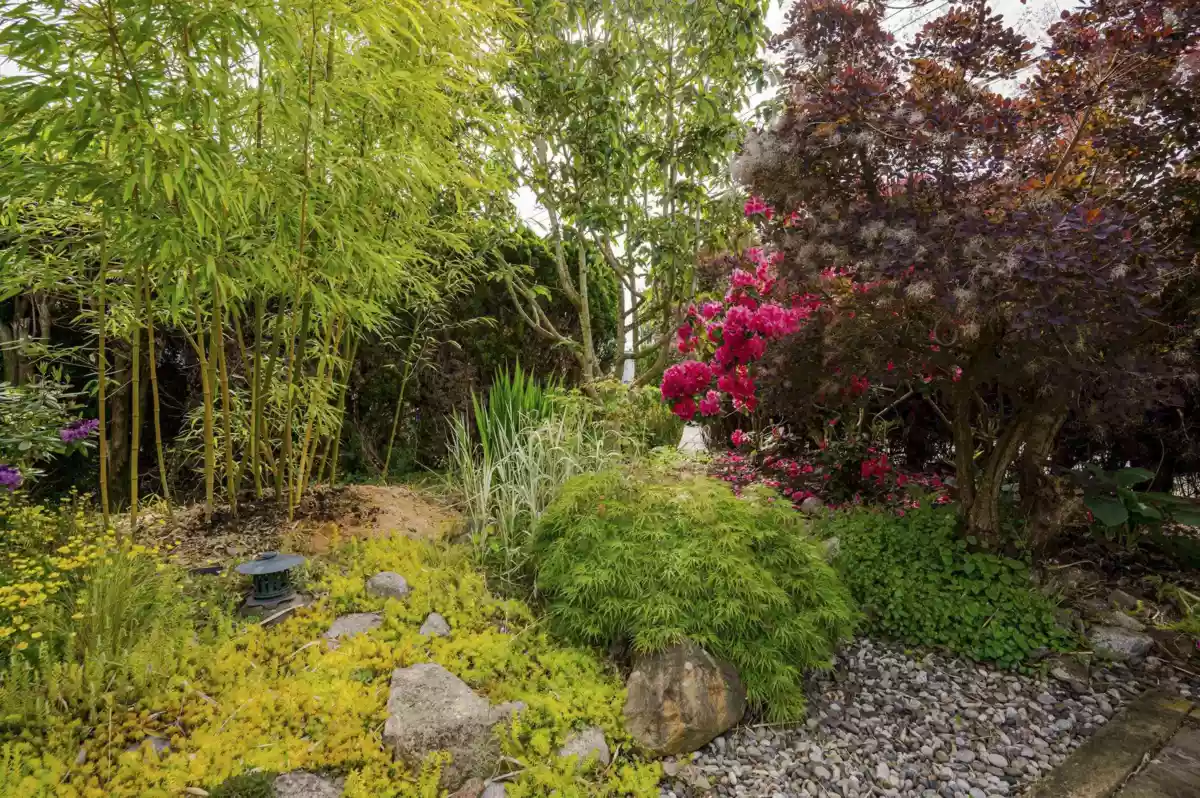 Living Room Photo of 26967 28 Avenue, Langley, BC