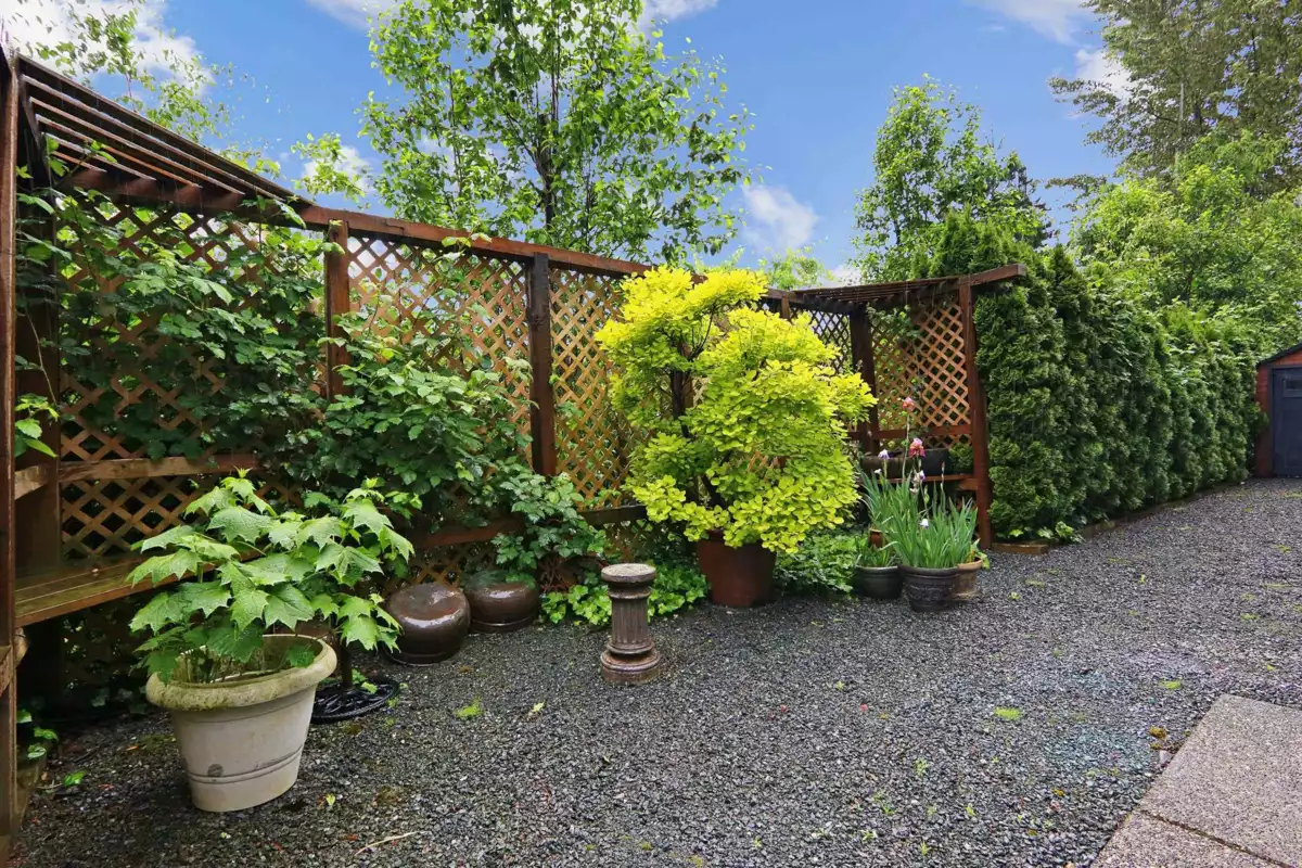 Front Yard Photo of 6 50354 Adelaide Place, Chilliwack, BC