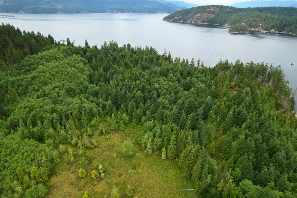 Pantry Photo of DL 2732 Vanguard Bay, Nelson Island, BC