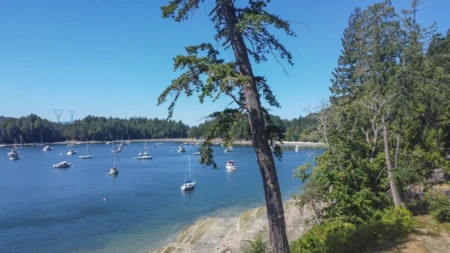 Street View Photo of 479 Montague Park Road, Galiano Island, BC