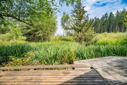 Swimming Pool Photo of 26559 58 Avenue, Langley, BC